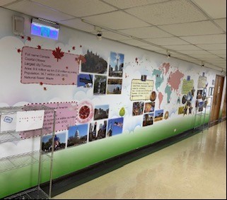 H&agrave;nh Lang Văn H&oacute;a